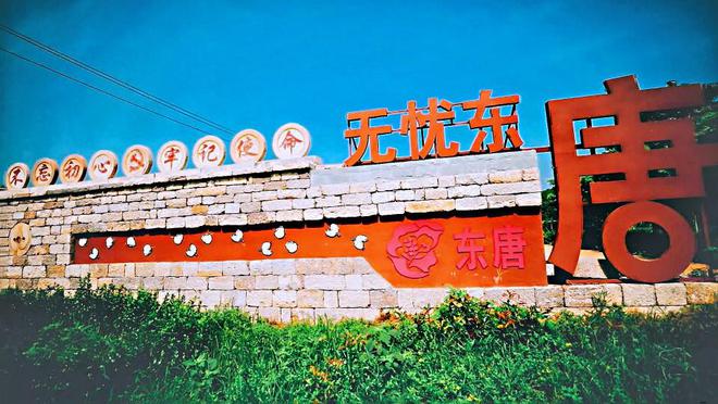 济南市平阴县:全力擘画乡村振兴新图景