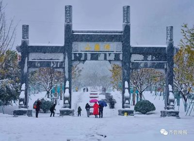 济南雪景美上热搜!网友:一下雪,济南就成了济南府